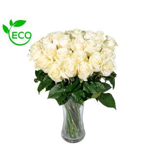 Ramo de Rosas Ecológico|